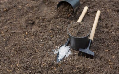 Dealing with Drought