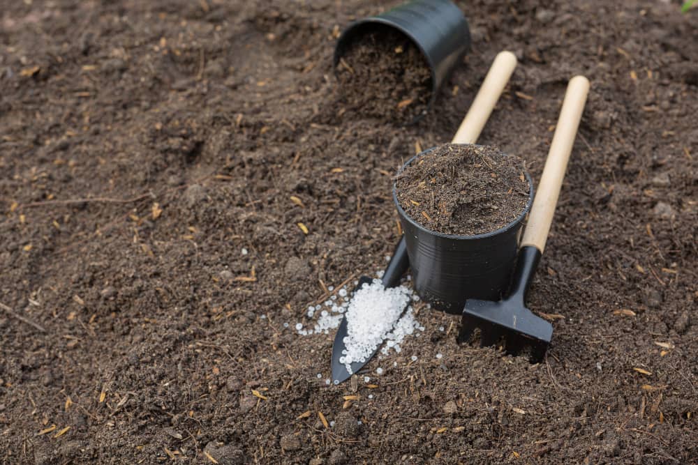 Dealing with Drought